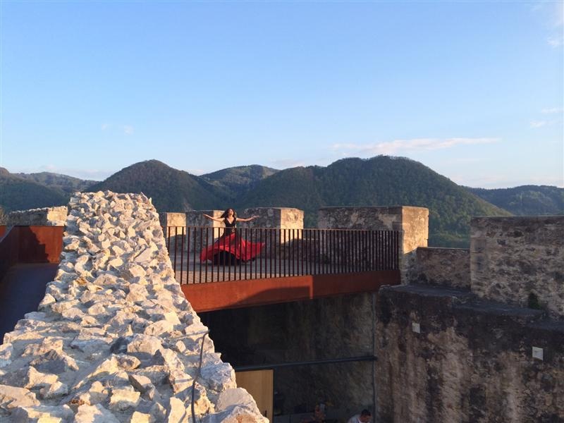 celje grad1 (Medium)