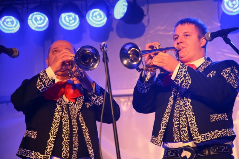 music managemenesd65+6